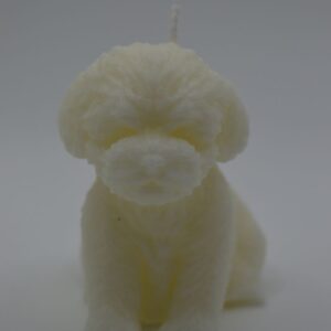 candela barboncino xs