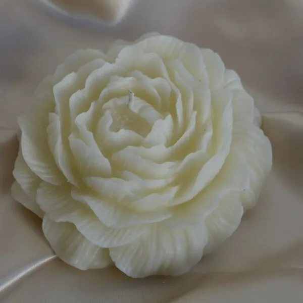 candela peonia 3 candela peonia