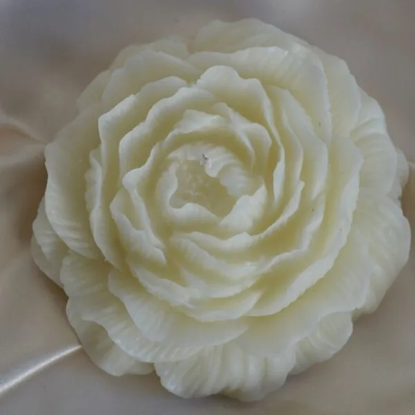 candela peonia 6 candela peonia