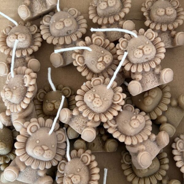 leoncini 45454 leoncino