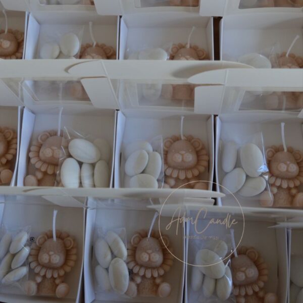 leoncino 45454 (2) leoncino